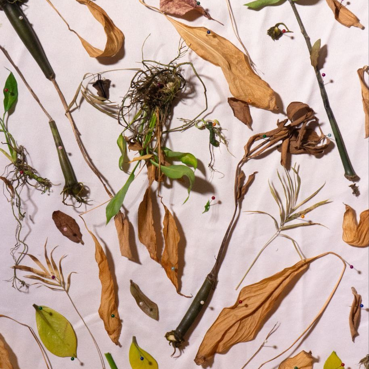 Фотолагерь для фотографов и не только. ARTDARY | Фотограф Дарья Грицай