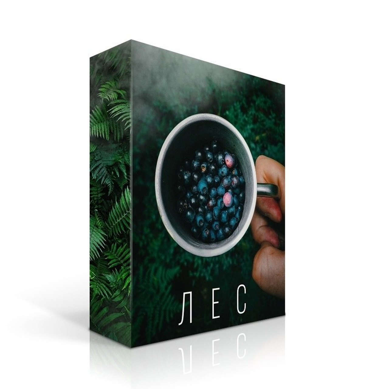 Пресет пак Лес. ФОТОШКОЛА VISION — курс по мобильной фотографии в Москве, курс по фотографии Владимира Васильева