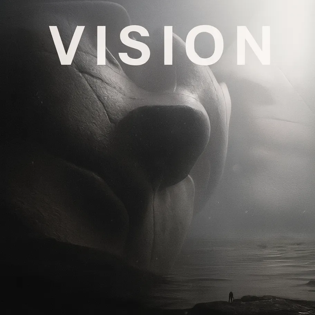 Пресет ПОРТРЕТ 2025. ФОТОШКОЛА VISION — курс по мобильной фотографии в Москве, курс по фотографии Владимира Васильева