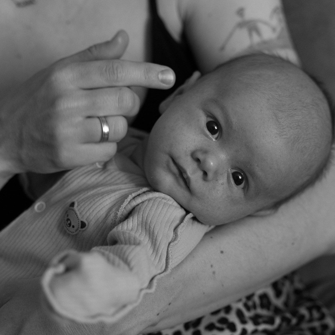 Отзывы. Свадебный и семейный фотограф в Новосибирске Наталья Зорина