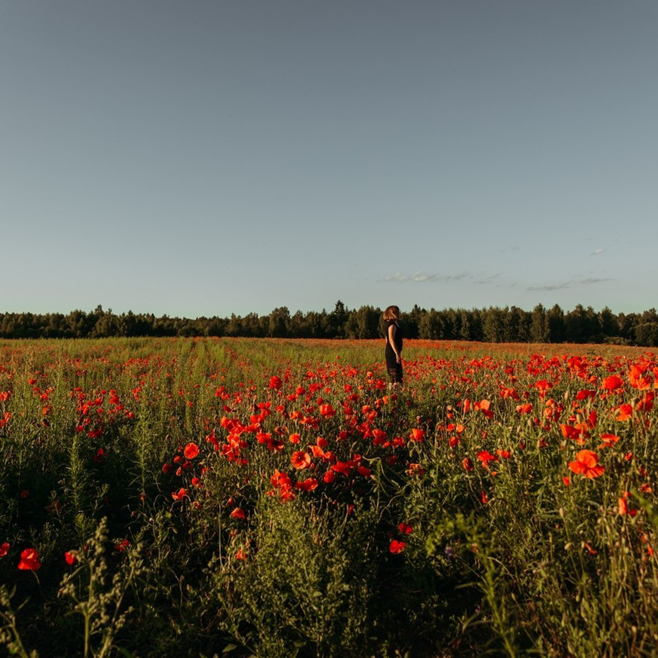 Отзывы о фотографе в Санкт-Петербурге Кремневой Марии. Семейный, детский и индивидуальный фотограф в Санкт-Петербурге Кремнев