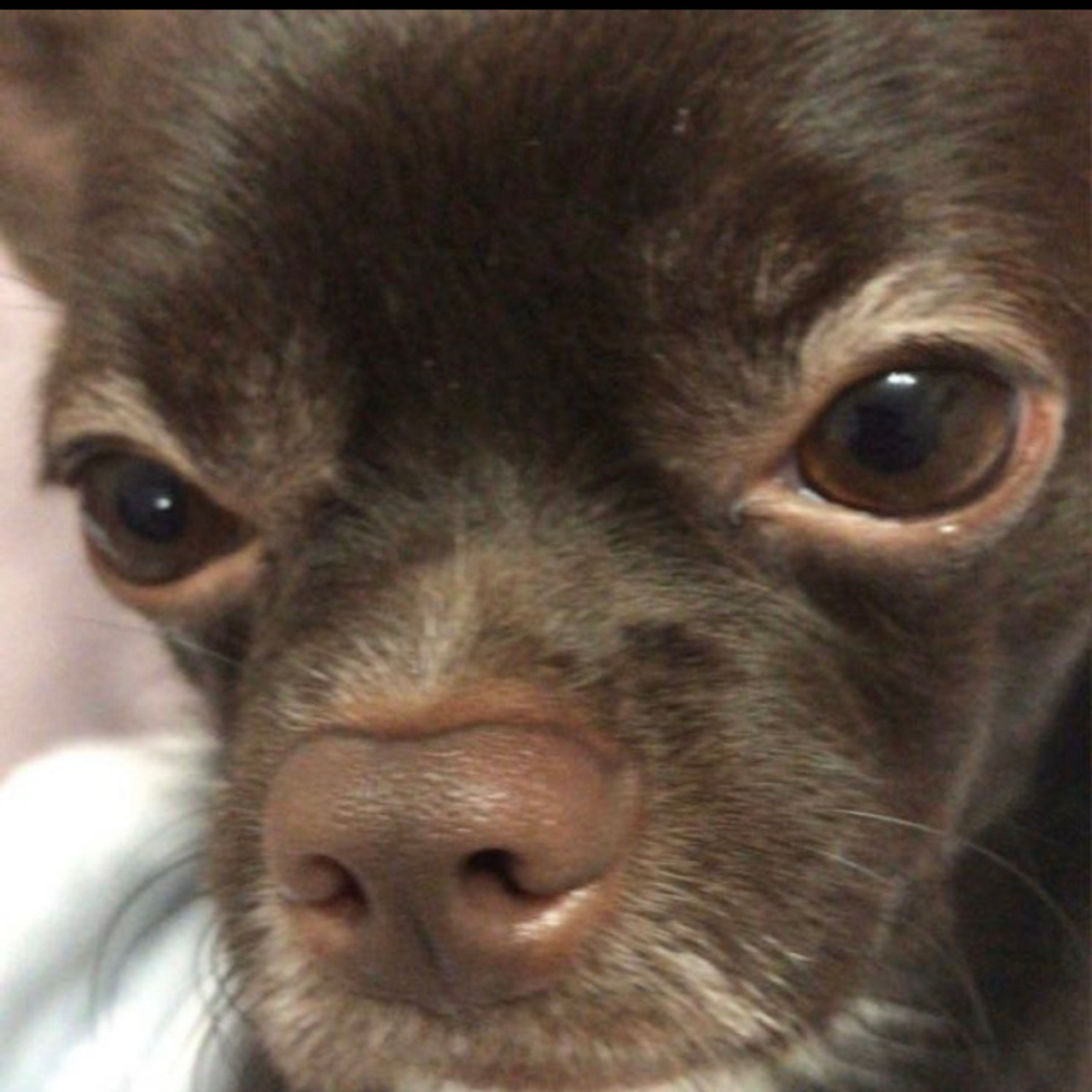 Отзывы. Фотостудия в центре Санкт-Петербурга, портретная и тематическая съемка