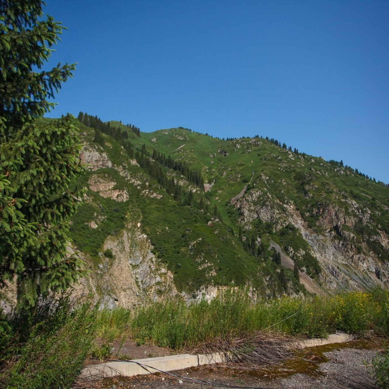 Отзывы. Экскурсии и туры по Алматы