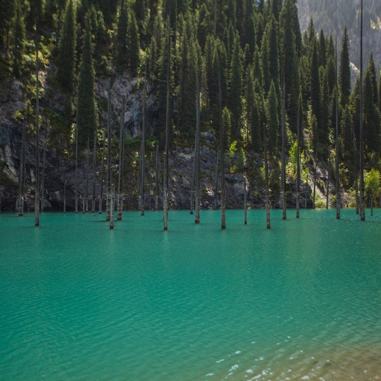 Отзывы. Экскурсии и туры по Алматы