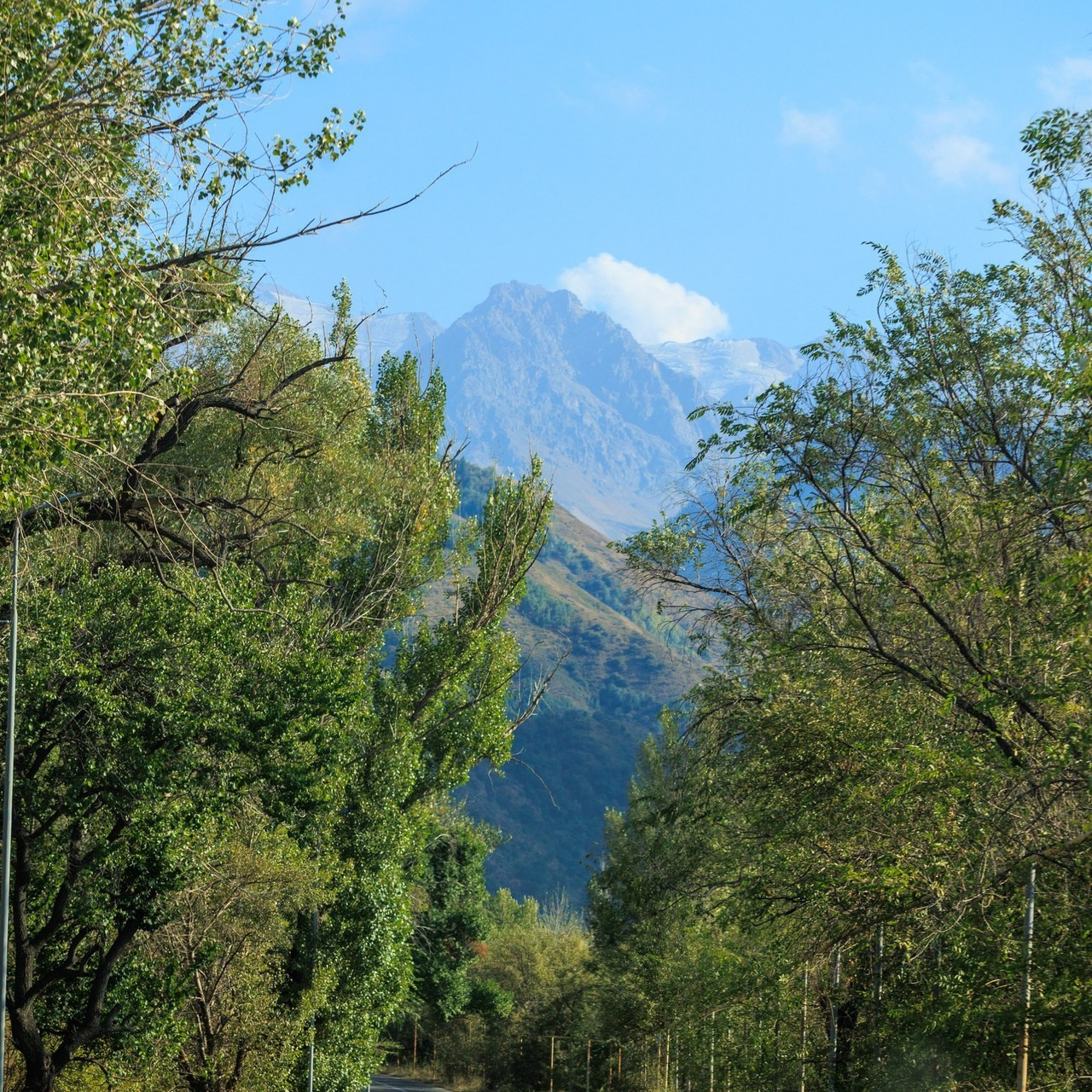 Отзывы. Экскурсии и туры по Алматы