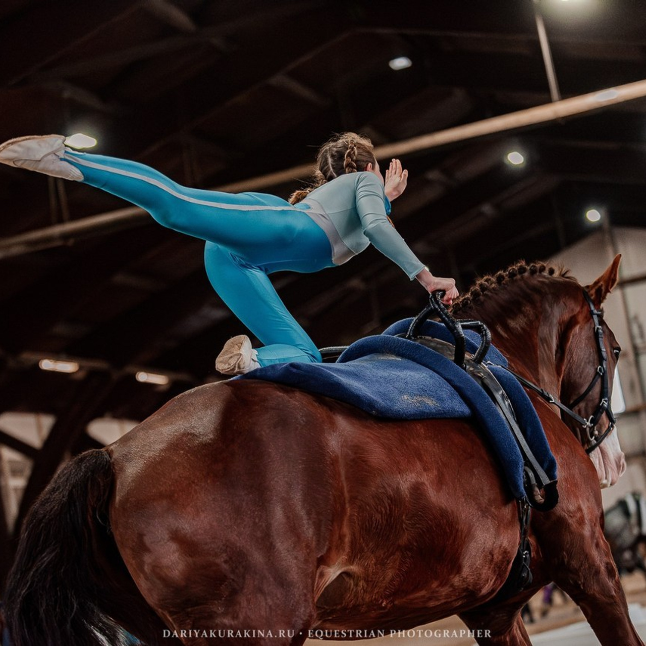 Отзывы. Конный фотограф Куракина Дарья • Фотосессии с лошадьми