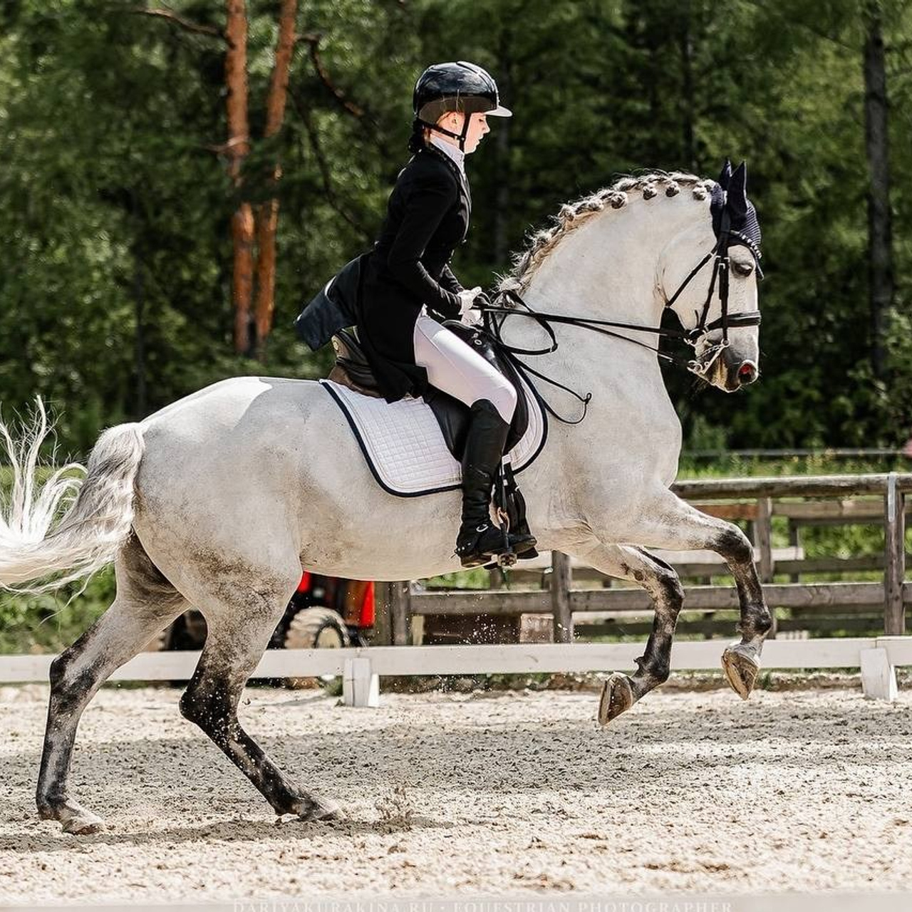 Четвертый этап КУБКА КСК «АЛМАЗОВО» по ВЫЕЗДКЕ