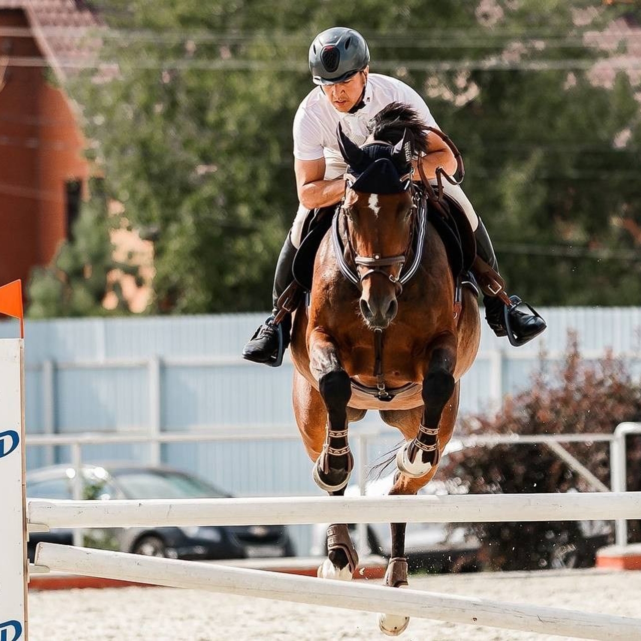 Летний кубок по конкуру КСК «КОНКОРД»