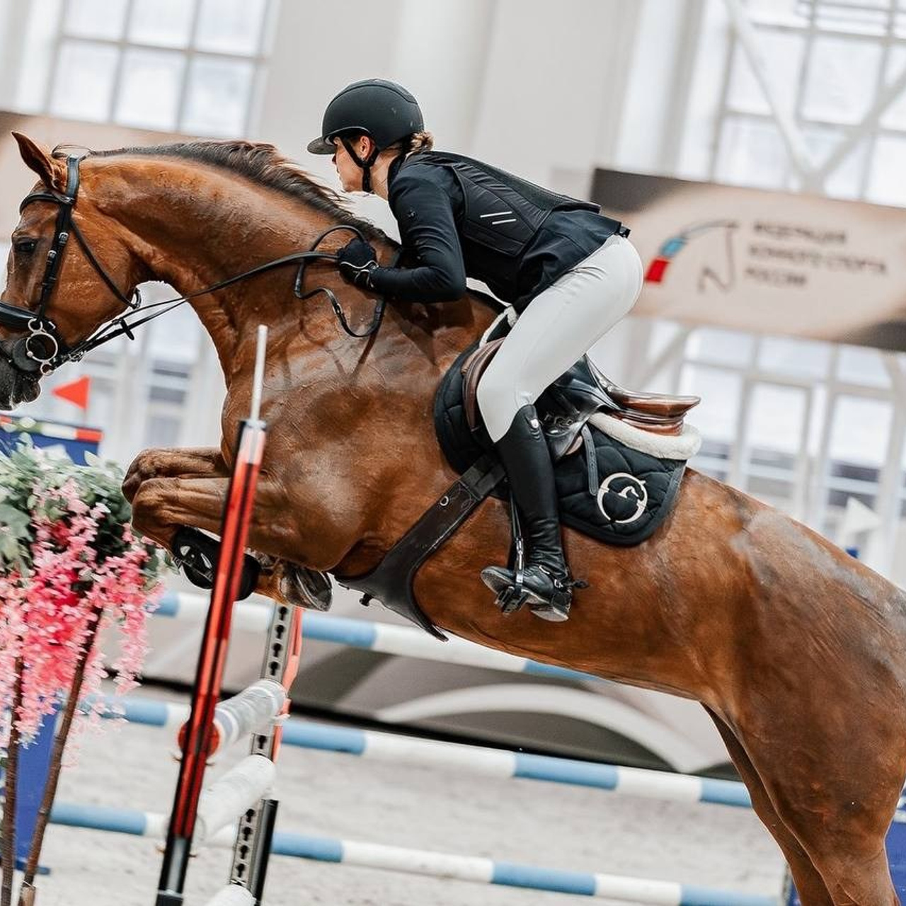 ЗИМНИЙ КУБОК ФЕДЕРАЦИИ КОННОГО СПОРТА ГОРОДА МОСКВЫ