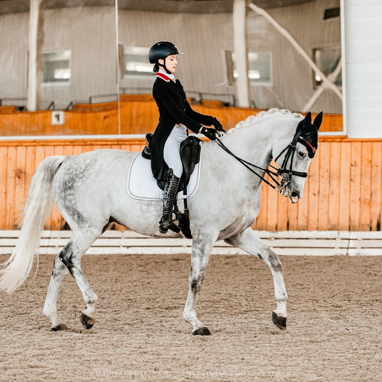 Отзывы. Конный фотограф Куракина Дарья • Фотосессии с лошадьми