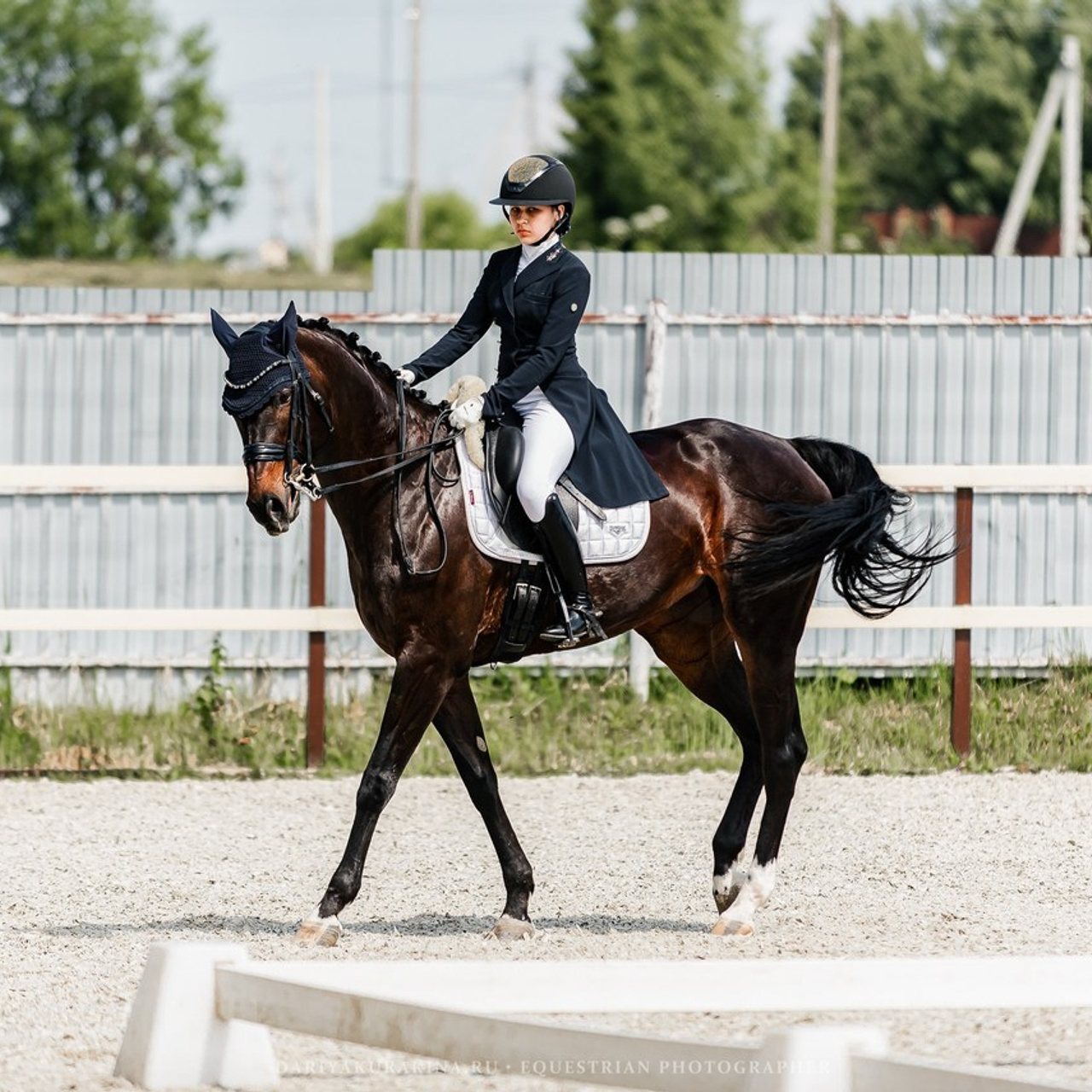 Отзывы. Конный фотограф Куракина Дарья • Фотосессии с лошадьми