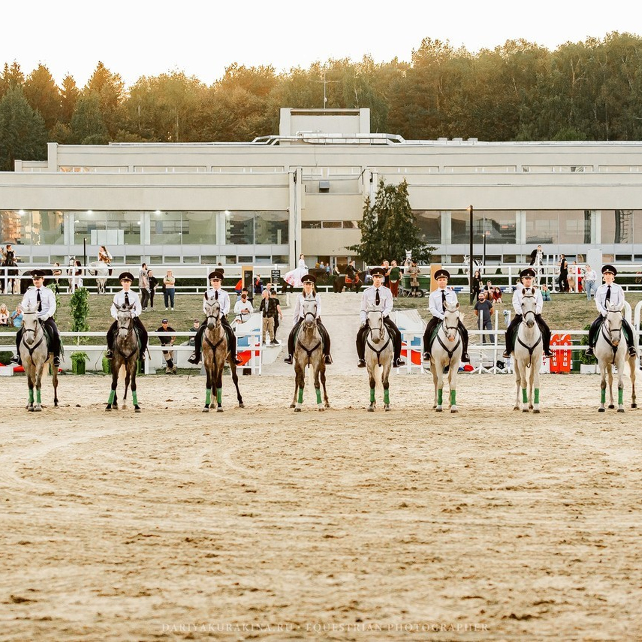 Отзывы. Конный фотограф Куракина Дарья • Фотосессии с лошадьми