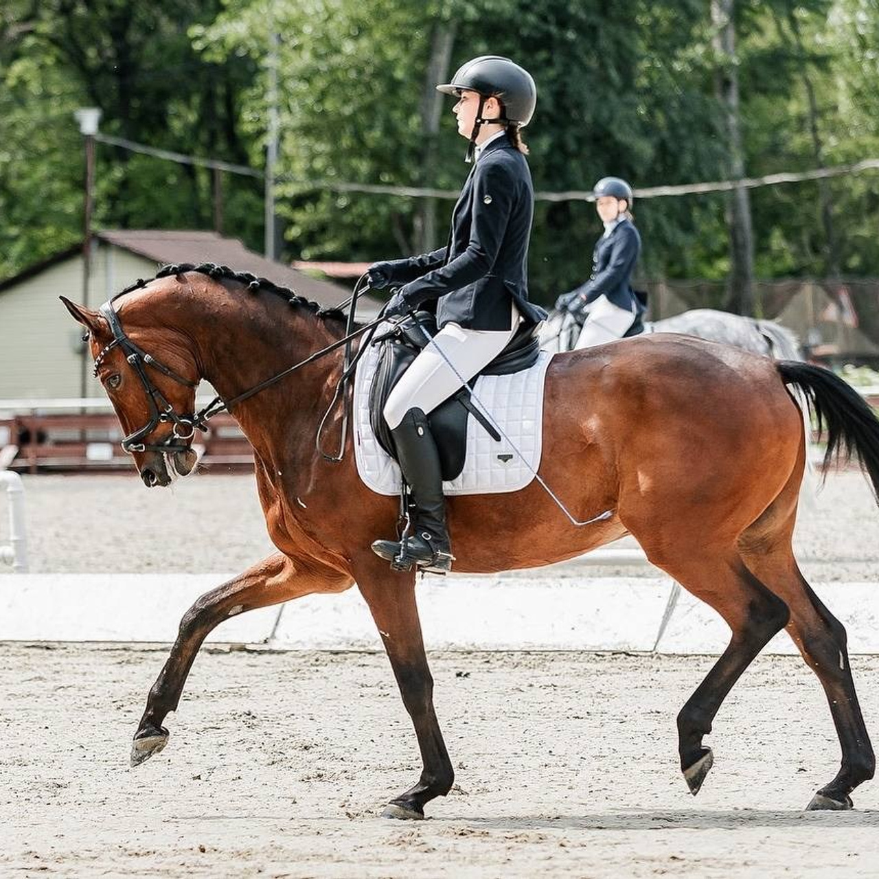 ЛЕТНИЙ КУБОК по ВЫЕЗДКЕ КСЦ «ИЗМАЙЛОВО»