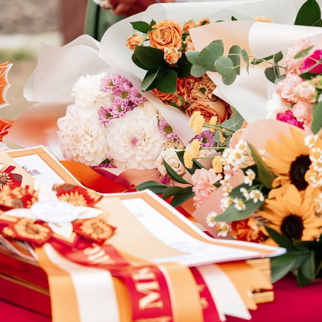 Отзывы. Конный фотограф Куракина Дарья • Фотосессии с лошадьми