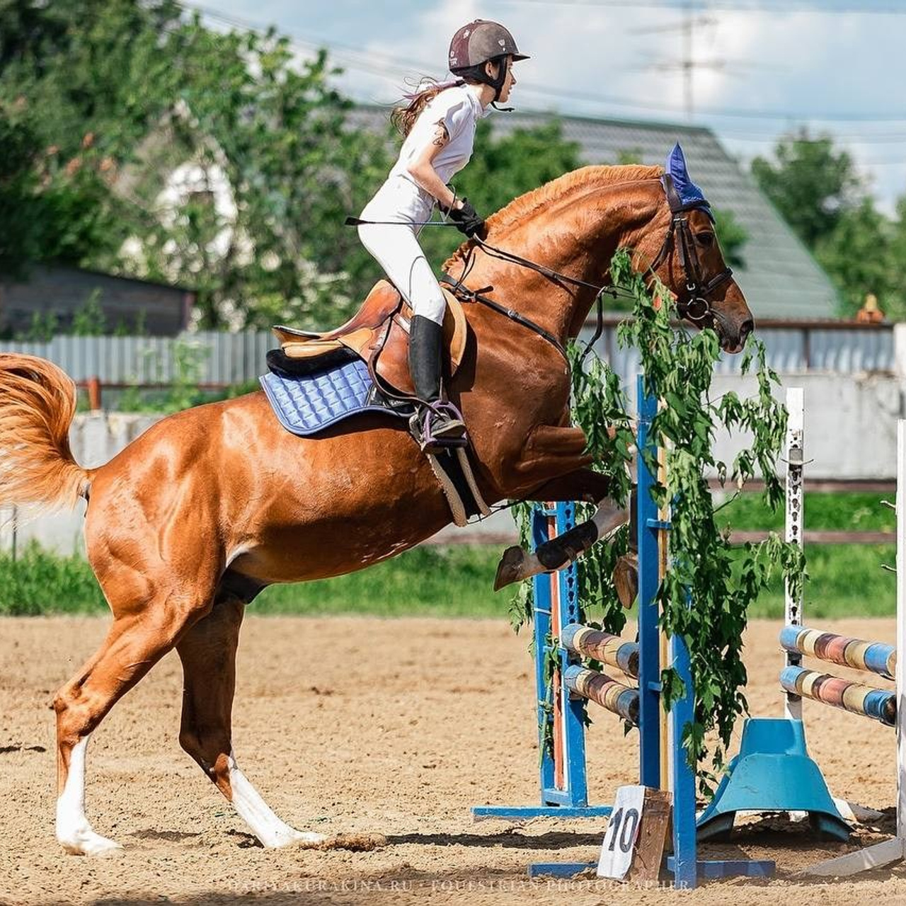 КОНКУР в КСК «Black Horse», 1 этап