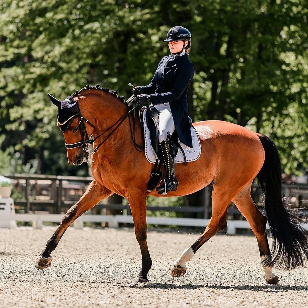 Третий этап КУБКА КСК «АЛМАЗОВО» по ВЫЕЗДКЕ