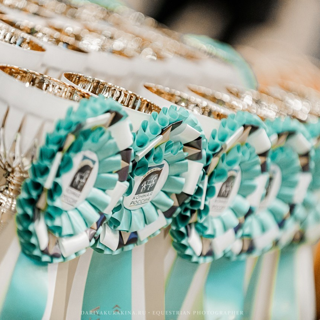 Отзывы. Конный фотограф Куракина Дарья • Фотосессии с лошадьми