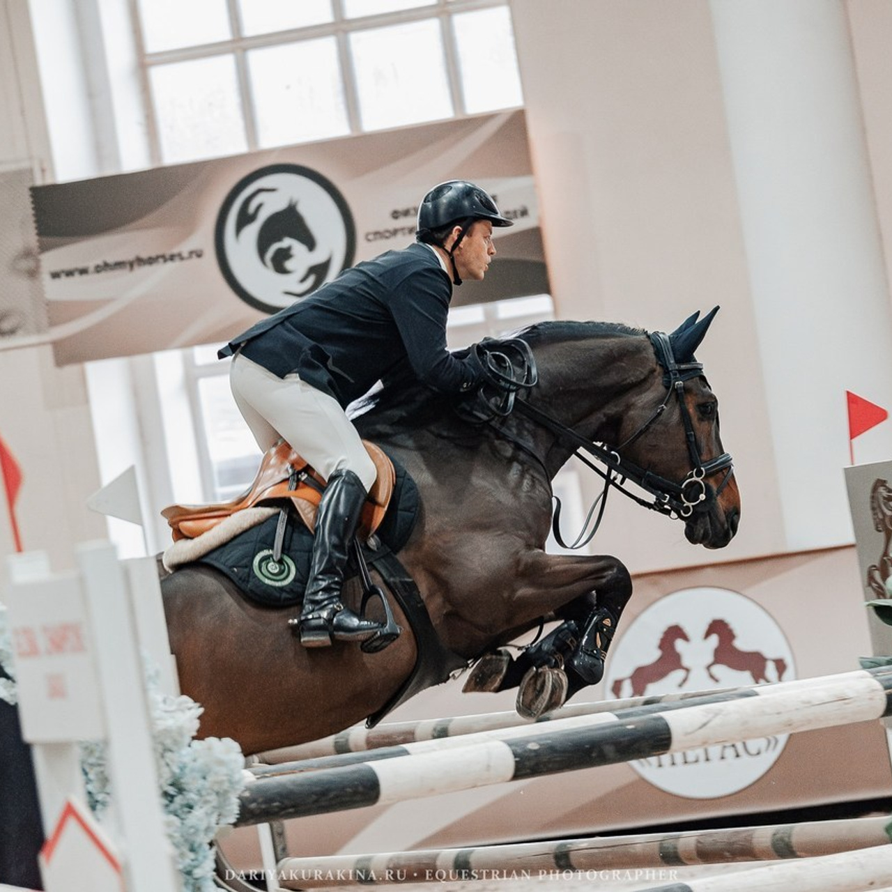 Отзывы. Конный фотограф Куракина Дарья • Фотосессии с лошадьми