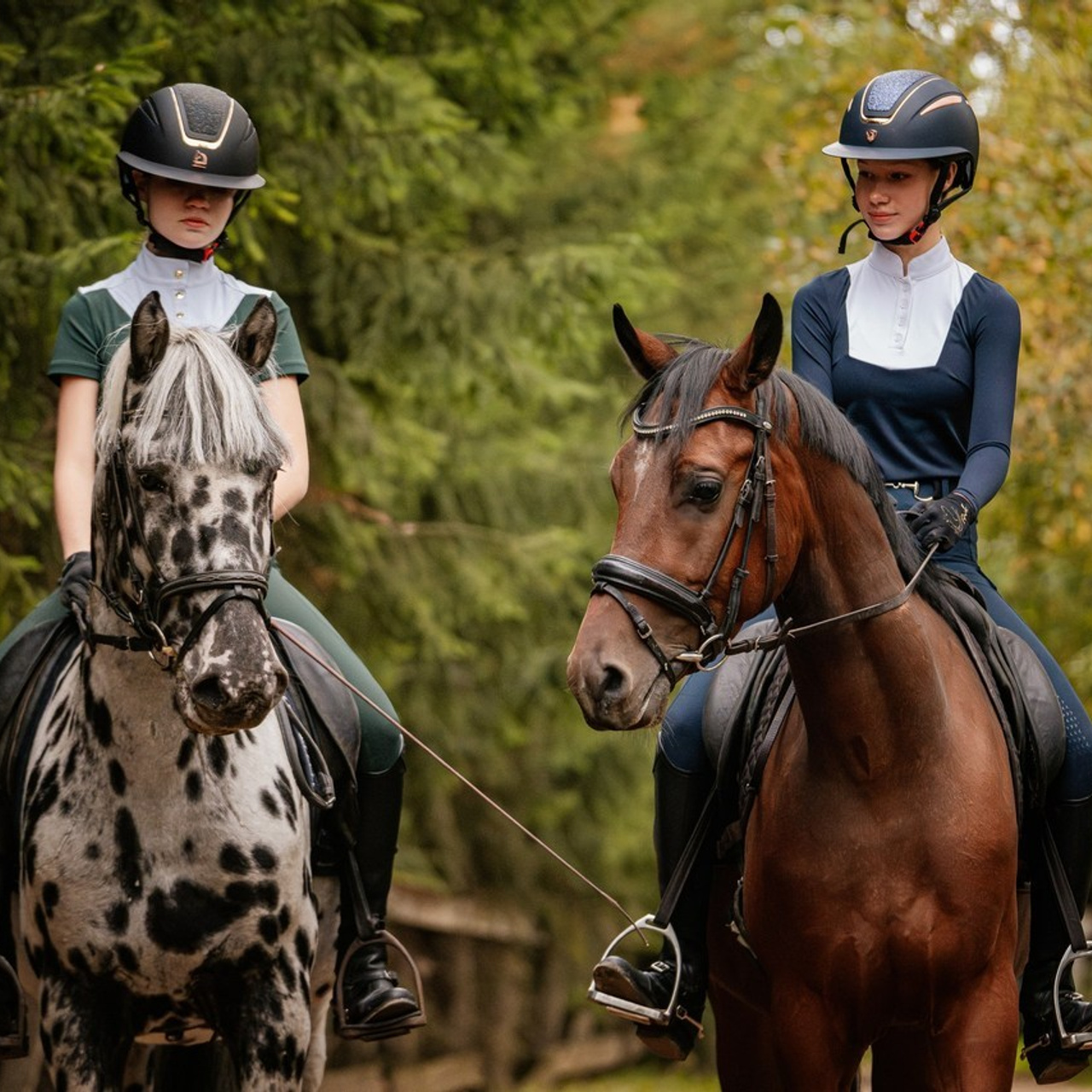 Отзывы. Конный фотограф Куракина Дарья • Фотосессии с лошадьми