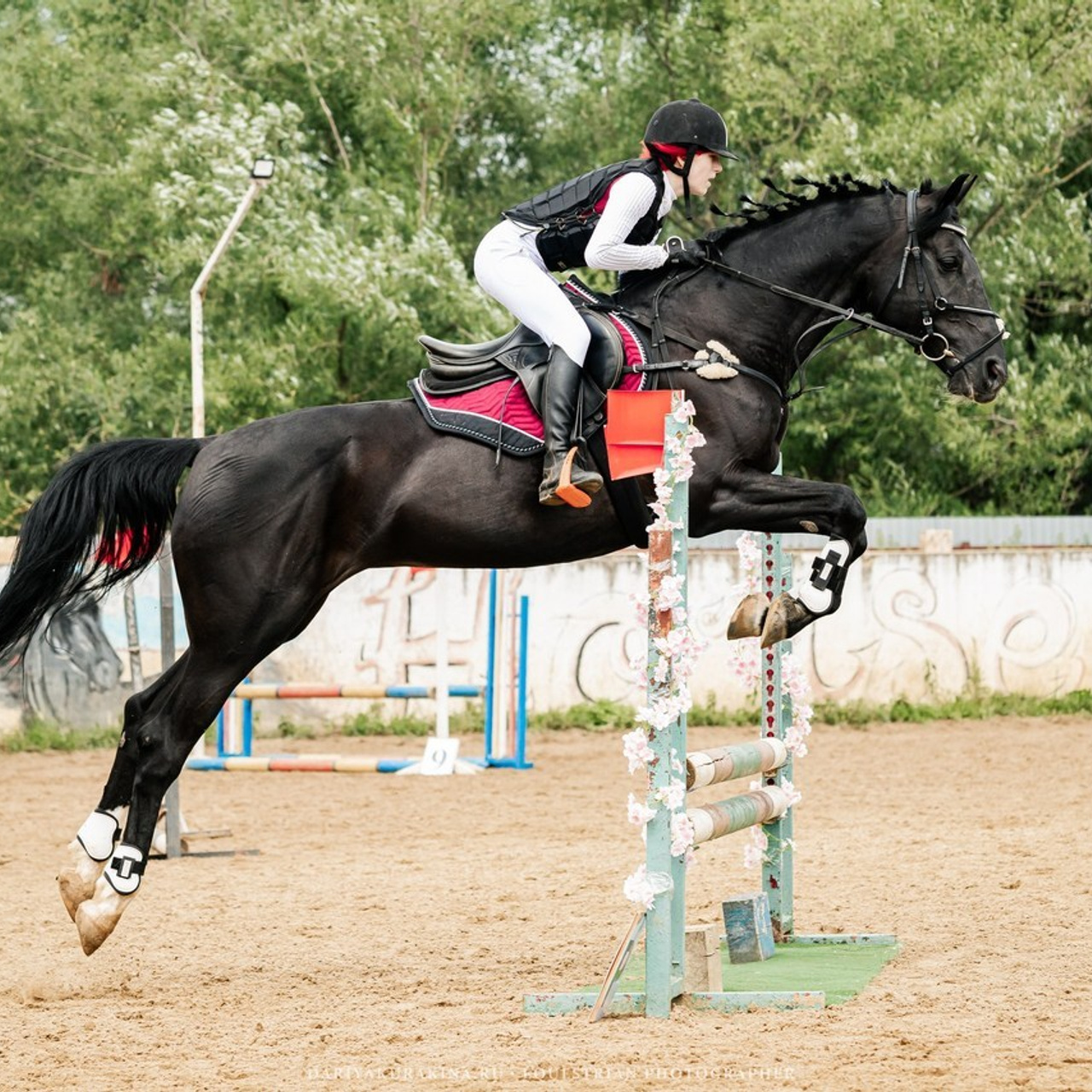 Отзывы. Конный фотограф Куракина Дарья • Фотосессии с лошадьми