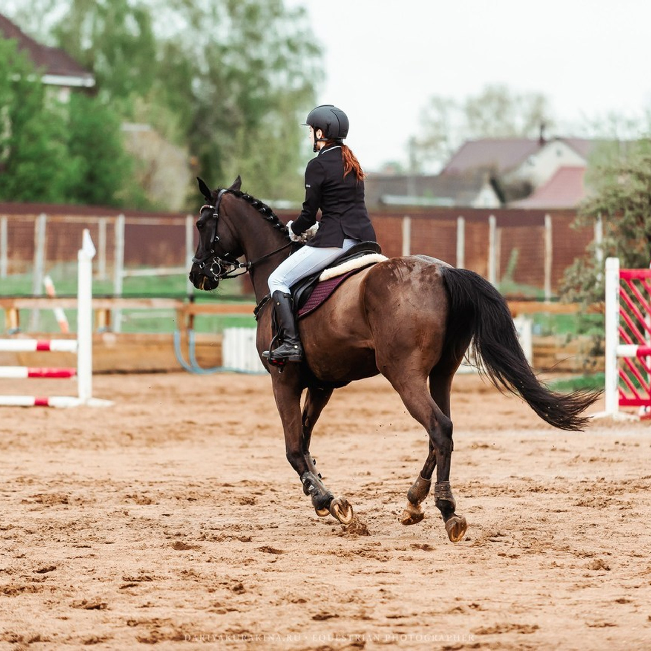 Отзывы. Конный фотограф Куракина Дарья • Фотосессии с лошадьми