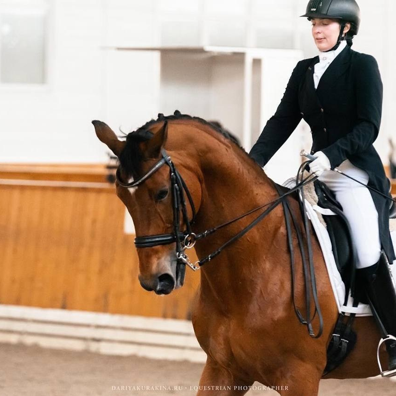 Открытые соревнования по выездке в КСК «Конкорд»