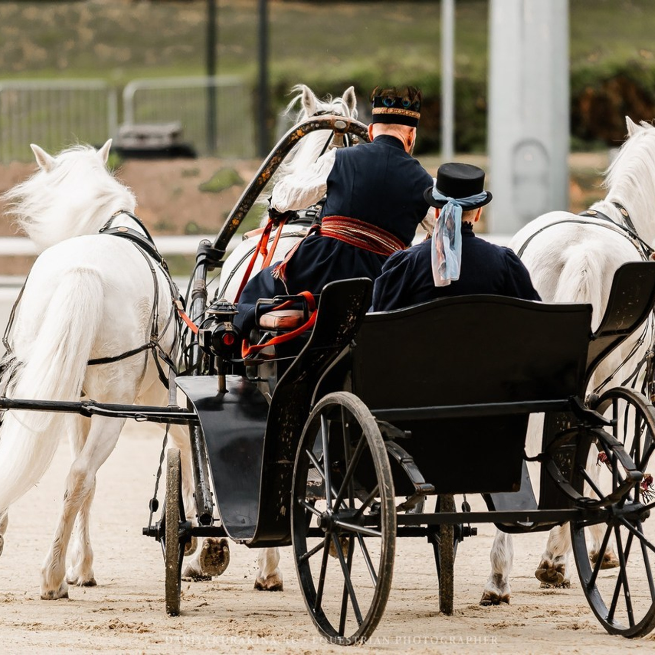 Отзывы. Конный фотограф Куракина Дарья • Фотосессии с лошадьми