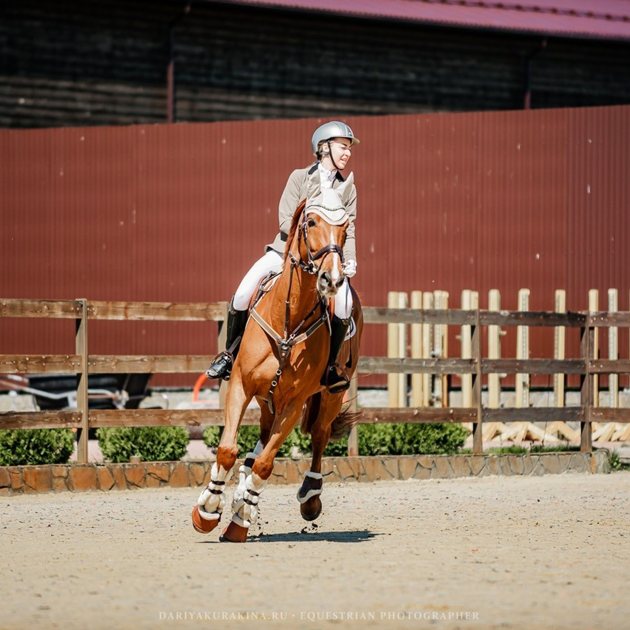 Отзывы. Конный фотограф Куракина Дарья • Фотосессии с лошадьми