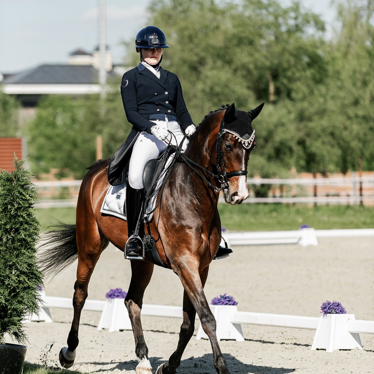 Отзывы. Конный фотограф Куракина Дарья • Фотосессии с лошадьми