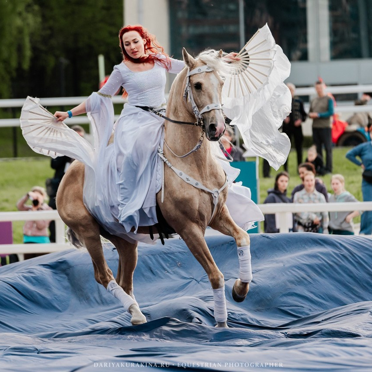 Отзывы. Конный фотограф Куракина Дарья • Фотосессии с лошадьми