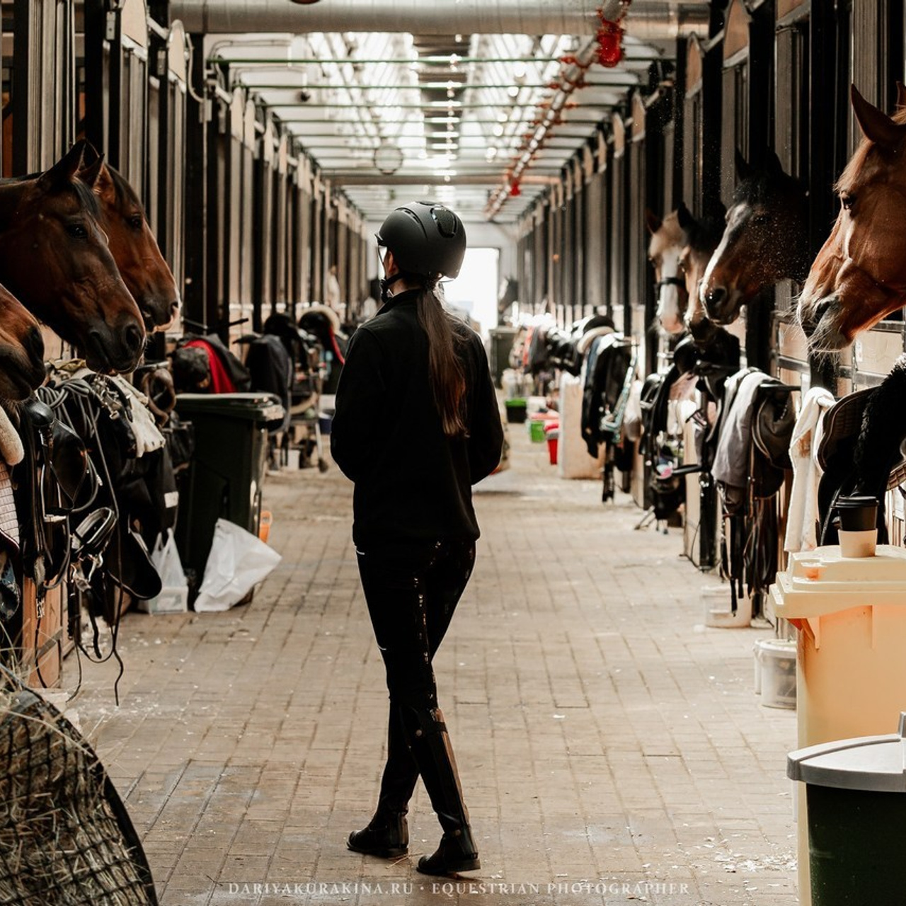 Отзывы. Конный фотограф Куракина Дарья • Фотосессии с лошадьми