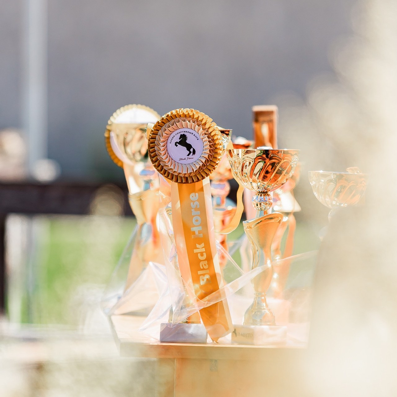 Отзывы. Конный фотограф Куракина Дарья • Фотосессии с лошадьми