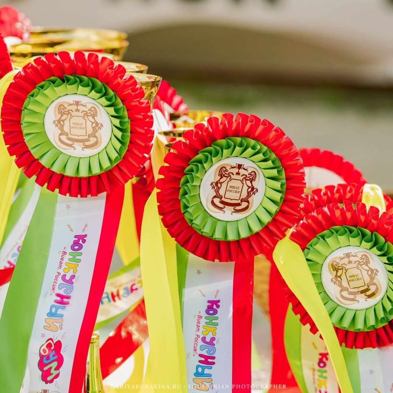 Отзывы. Конный фотограф Куракина Дарья • Фотосессии с лошадьми