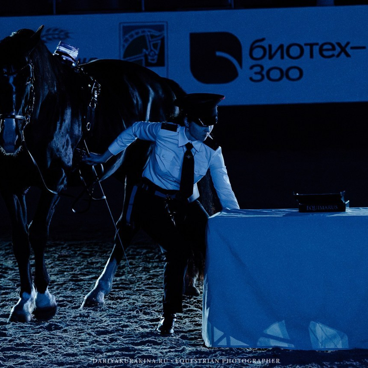 Отзывы. Конный фотограф Куракина Дарья • Фотосессии с лошадьми