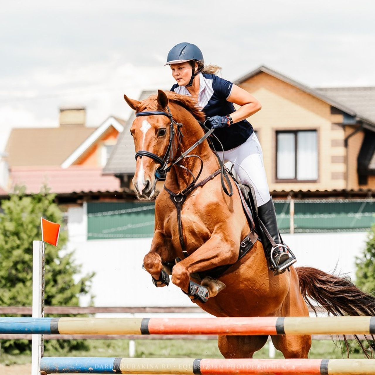 Отзывы. Конный фотограф Куракина Дарья • Фотосессии с лошадьми