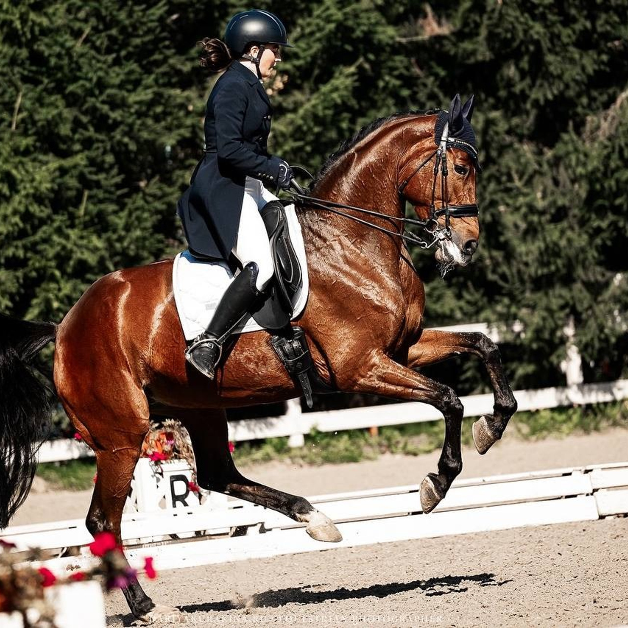 Кубок по&nbsp;ВЫЕЗДКЕ в&nbsp;КСК «РУССКИЙ АЛМАЗ» 8 этап