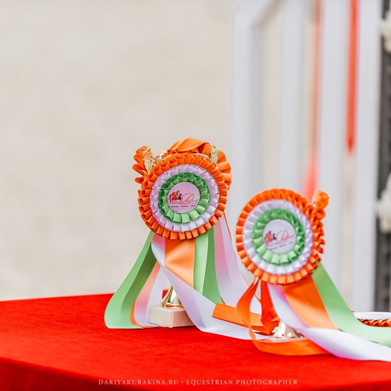 Отзывы. Конный фотограф Куракина Дарья • Фотосессии с лошадьми