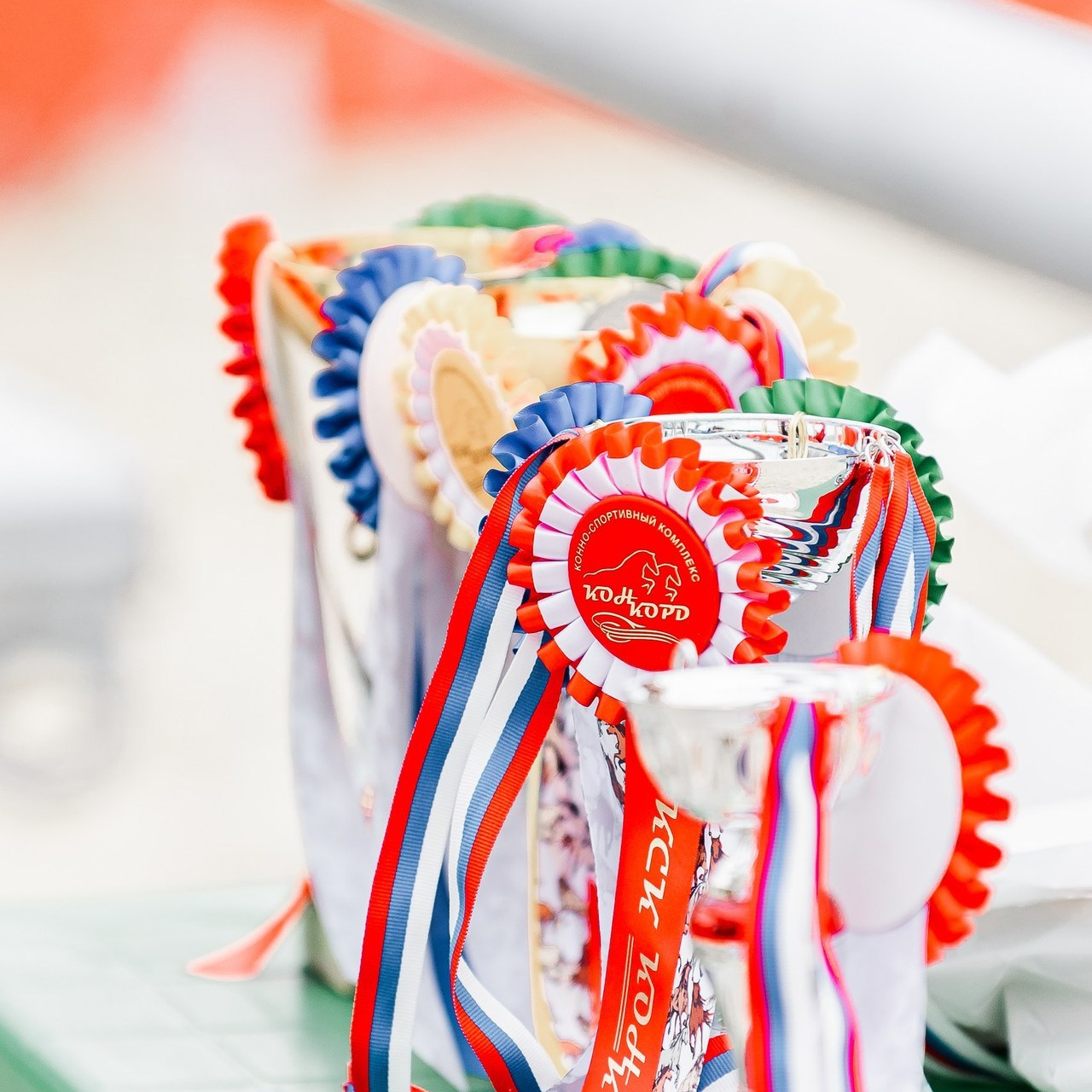 Отзывы. Конный фотограф Куракина Дарья • Фотосессии с лошадьми