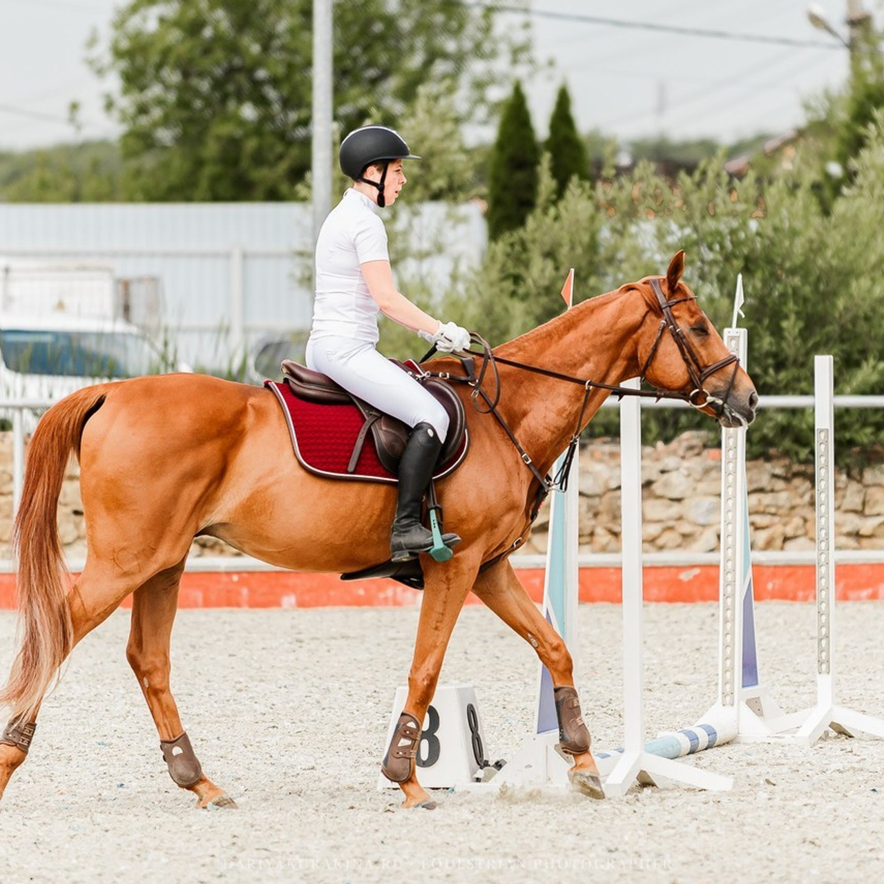 Отзывы. Конный фотограф Куракина Дарья • Фотосессии с лошадьми