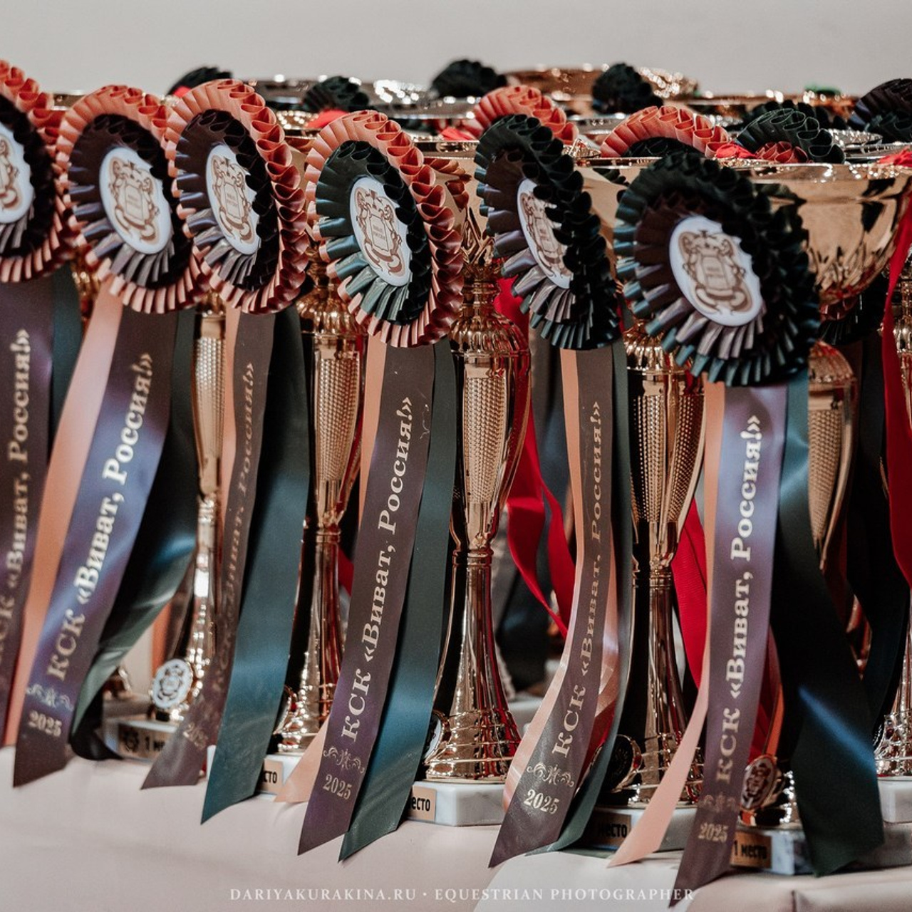 Отзывы. Конный фотограф Куракина Дарья • Фотосессии с лошадьми