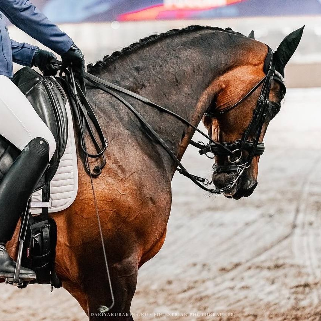ВЕСЕННИЙ КУБОК КСК «УРОЖАЙ» по ВЫЕЗДКЕ на призы ФСОП «РОССИЯ», II этап