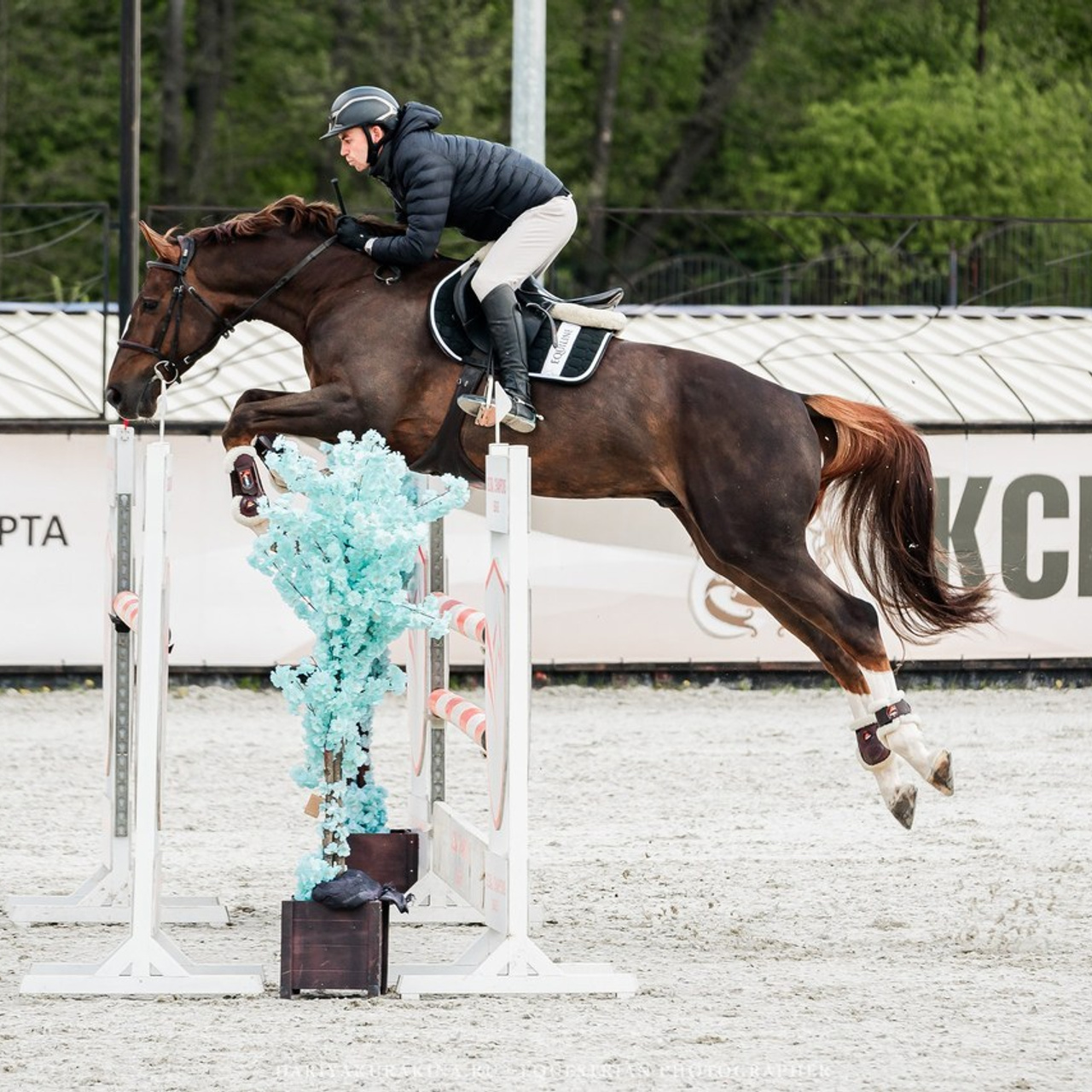 Отзывы. Конный фотограф Куракина Дарья • Фотосессии с лошадьми