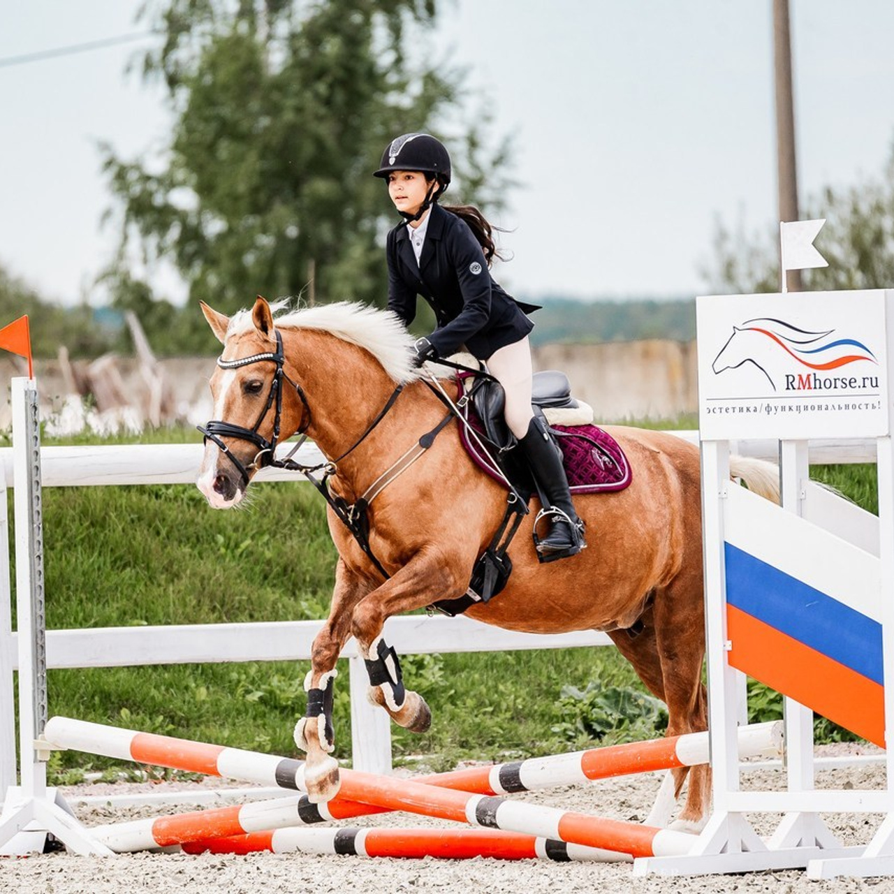 Отзывы. Конный фотограф Куракина Дарья • Фотосессии с лошадьми