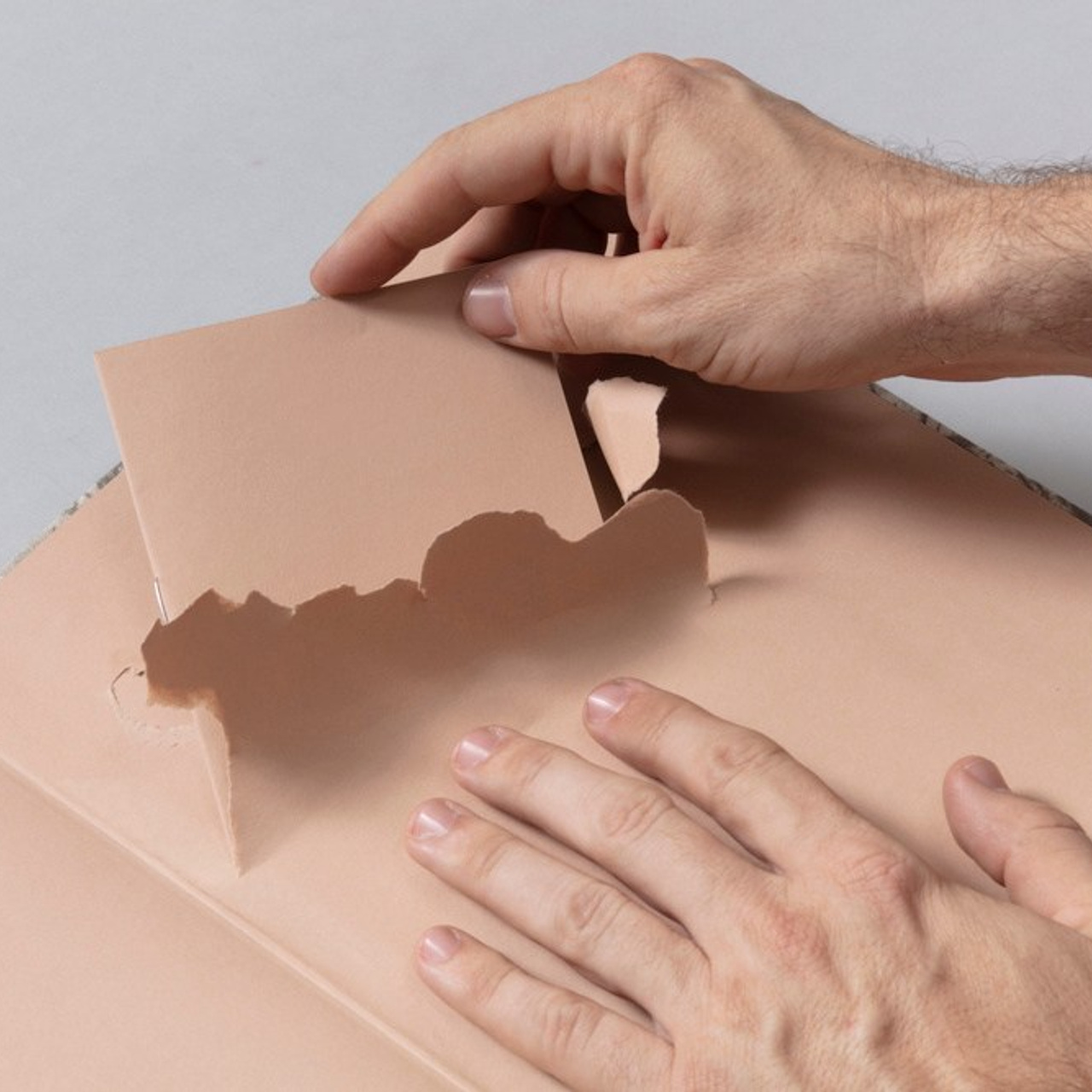 Блог. Самоорганизация Низина