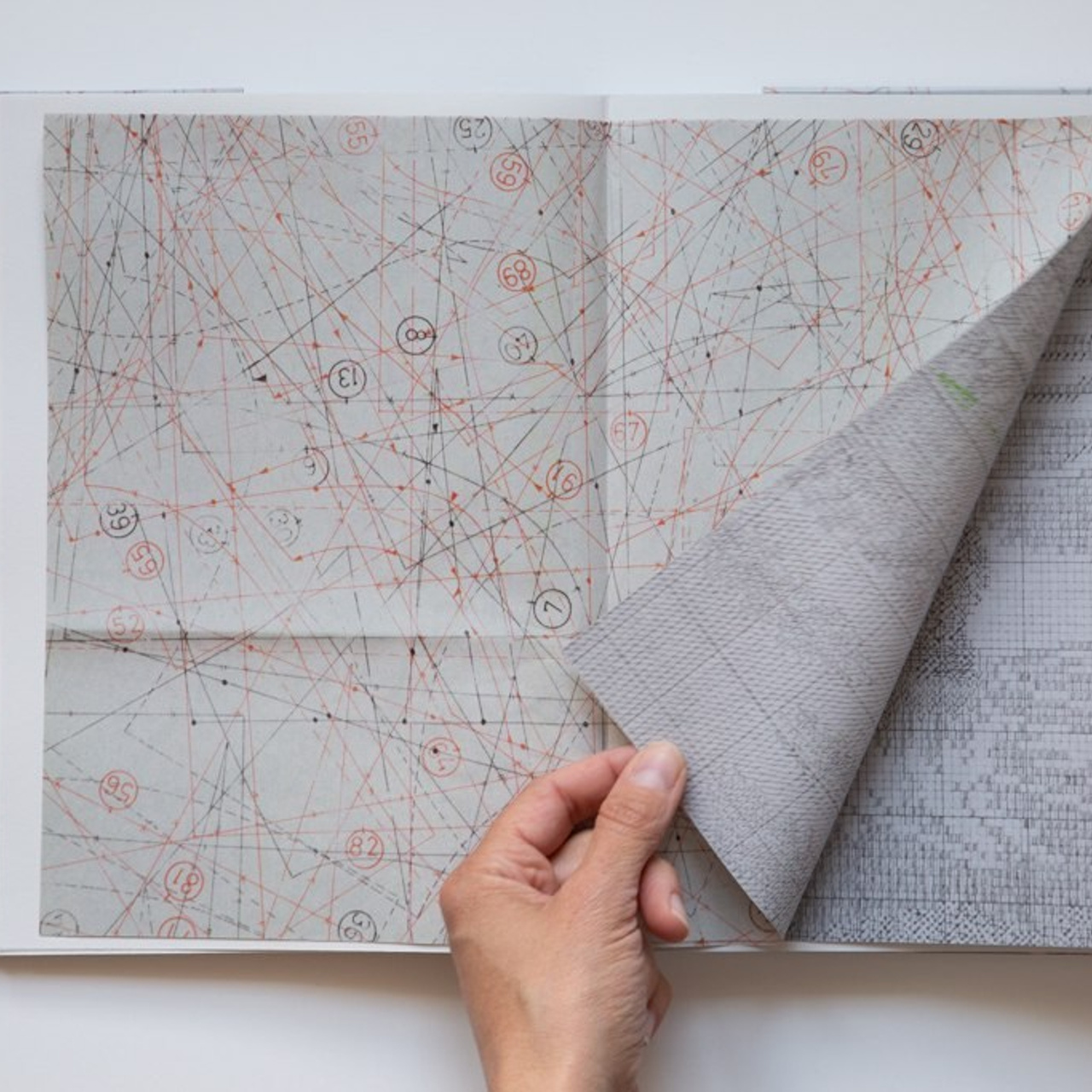 Блог. Самоорганизация Низина