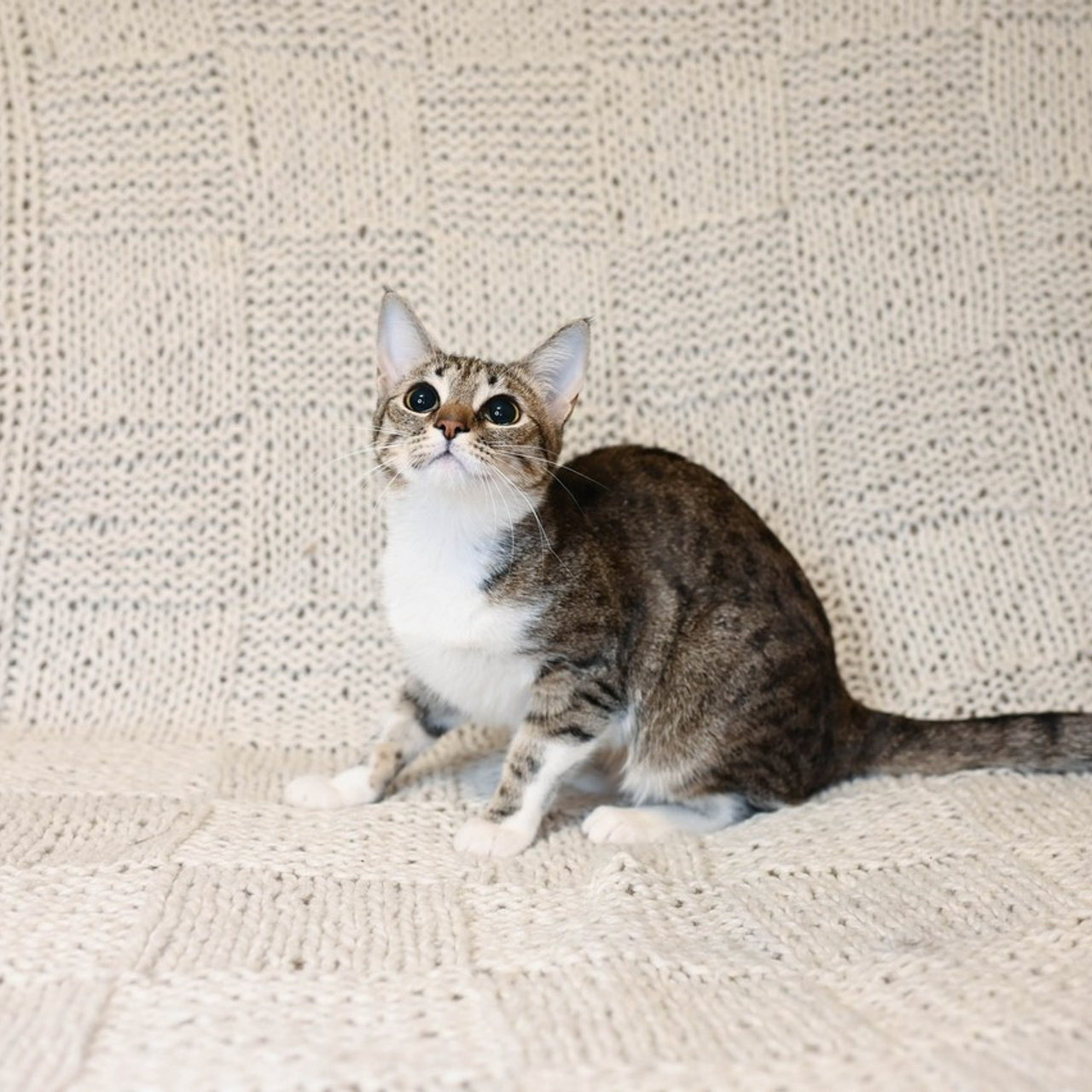 Отзывы. Семейный и женский фотограф в Москве Доминова Елена