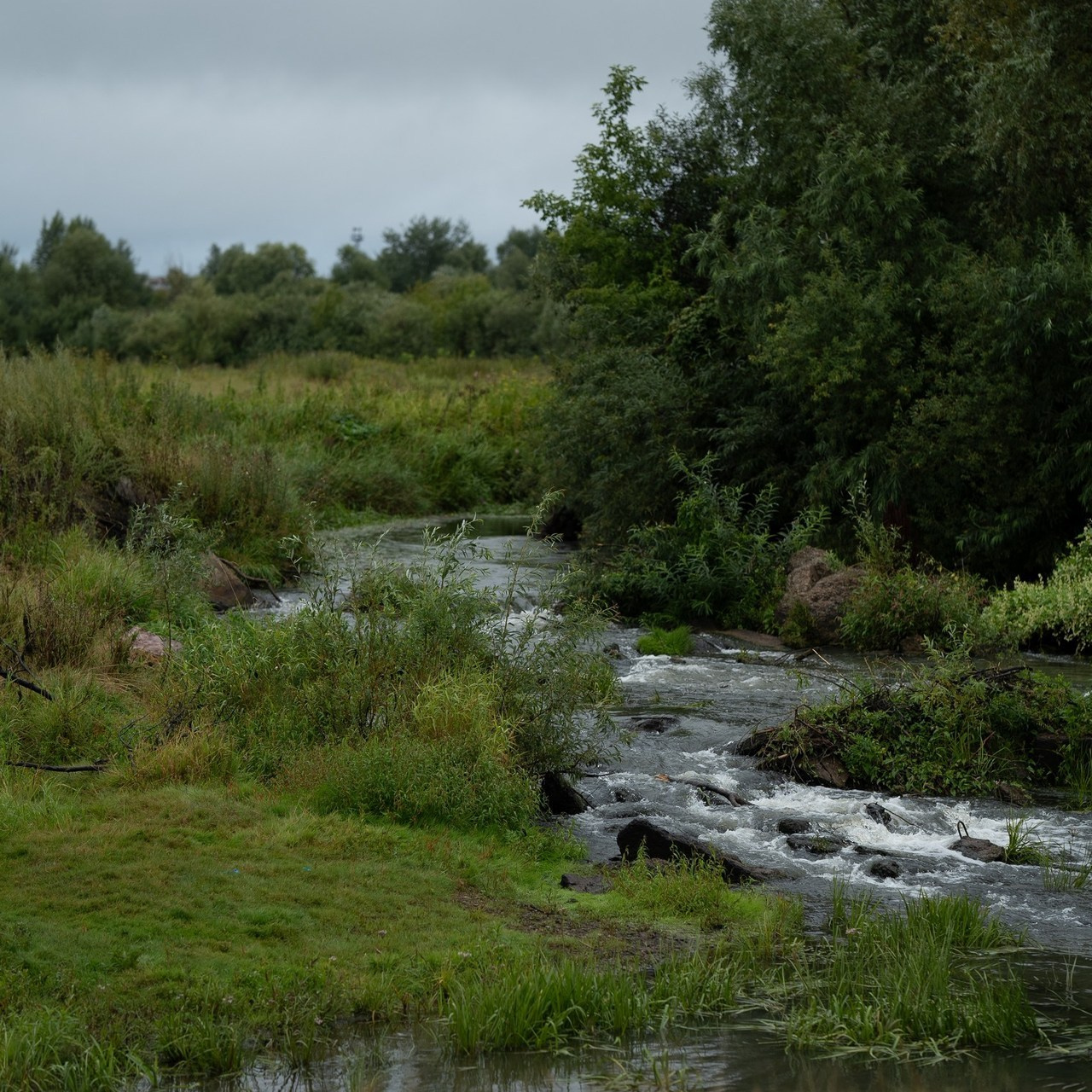 Отзывы. Главная