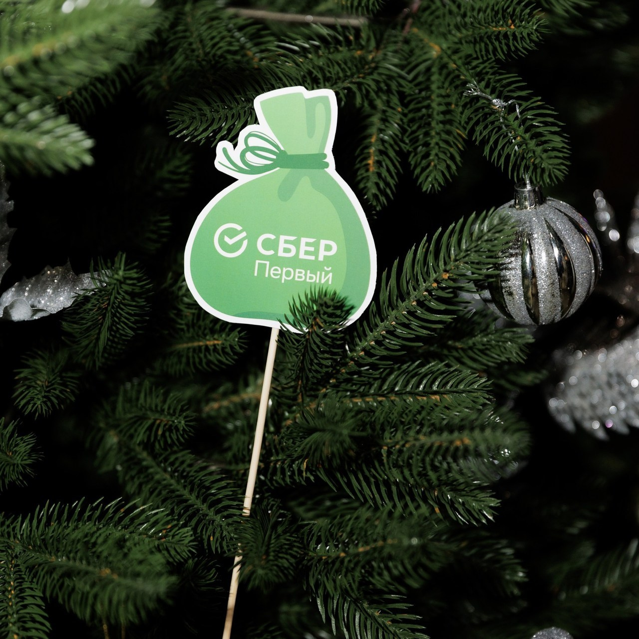 Отзывы. Свадебный фотограф в Москве    Еремин Анатолий