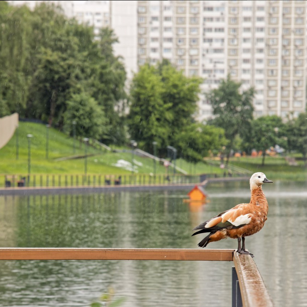 Отзывы. PotapovVision фотограф в Москве