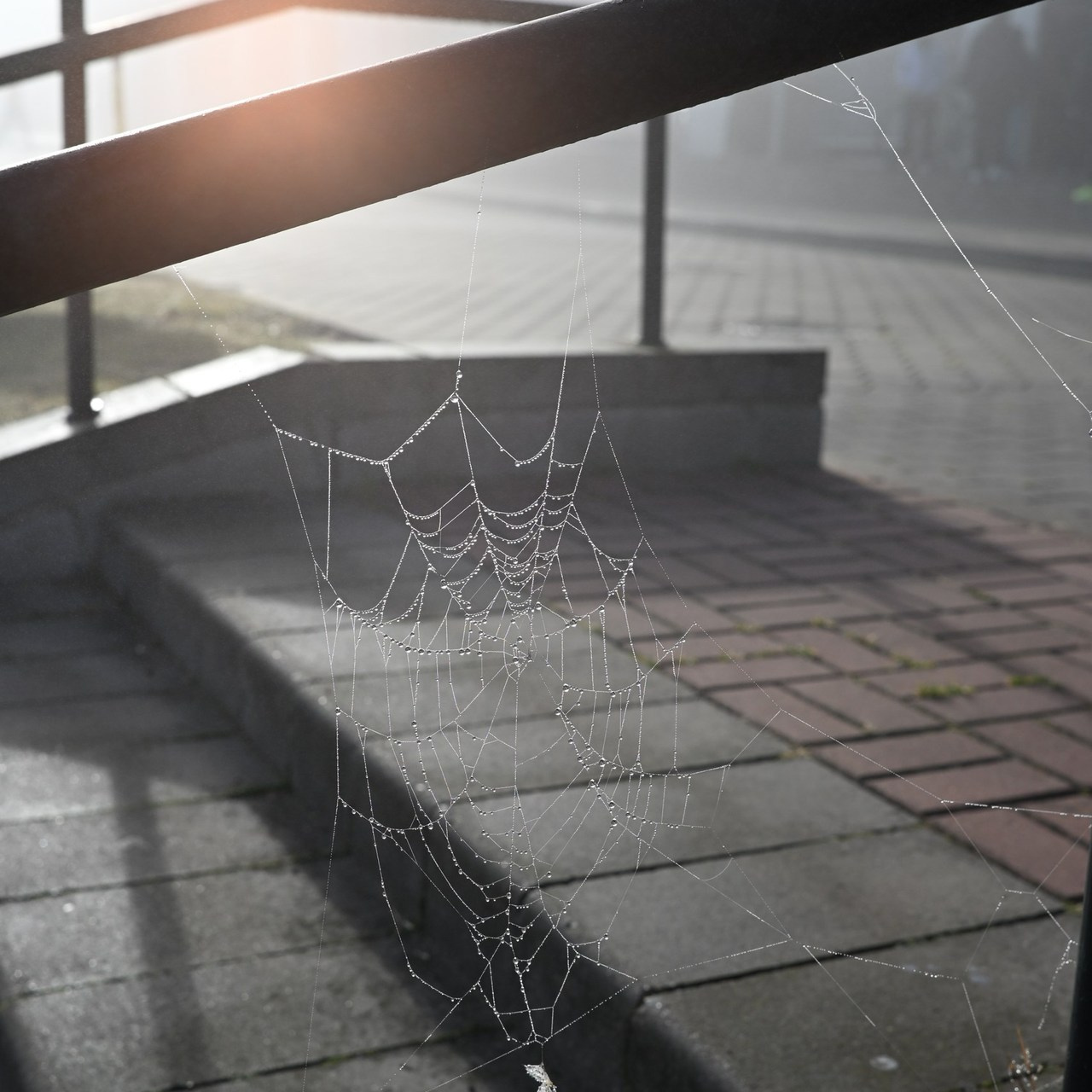 Отзывы. Фотограф Минск